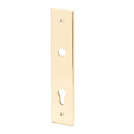 Brass Round T-Turn Handle Set on Backplate