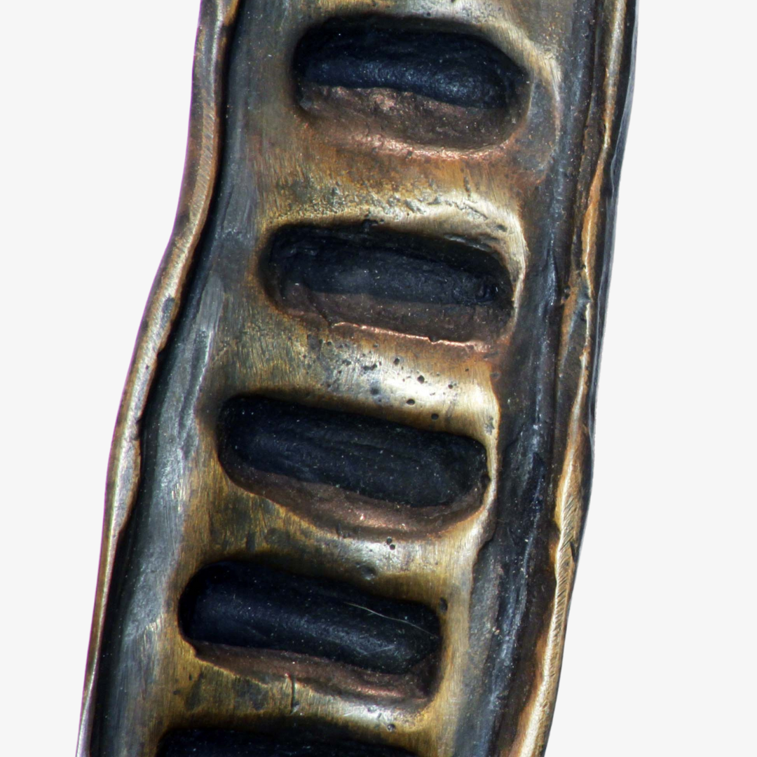 Poinciana Entry Door Pull