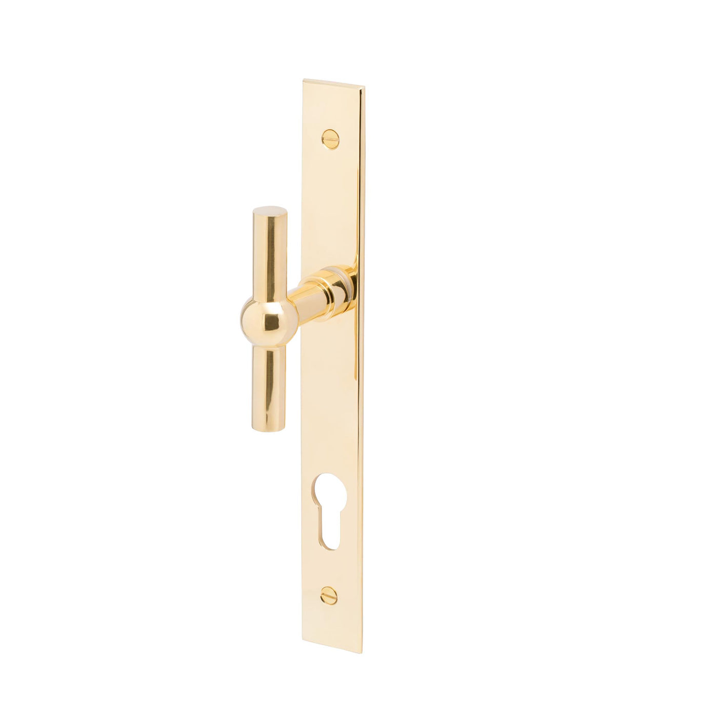 Brass Round T-Turn Handle Set on Backplate